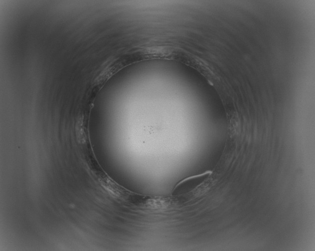 X0000067470764200604211607