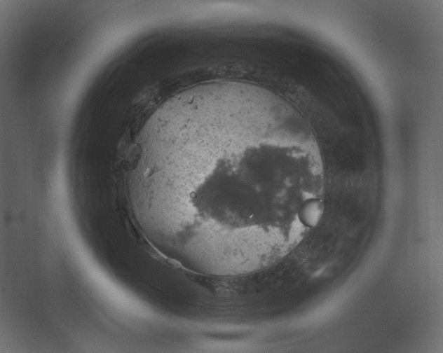 X0000067470765200604211607