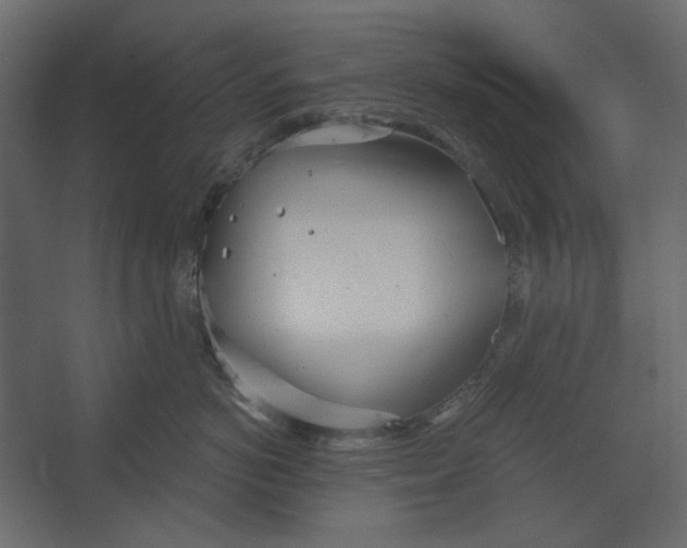 X0000067470766200604211607