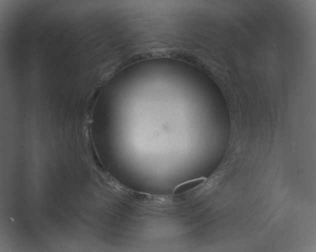 X0000067470768200604211607