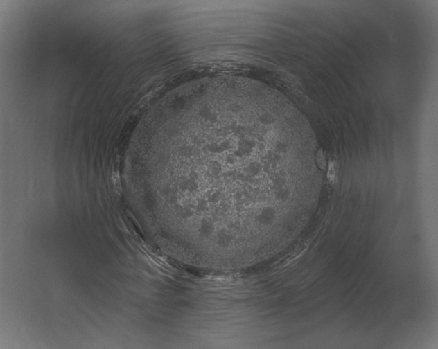 X0000067470771200604211606