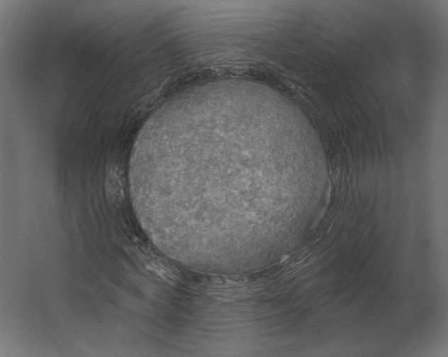 X0000067470772200604211606