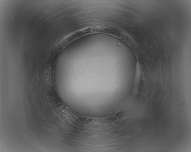 X0000067470773200604211606