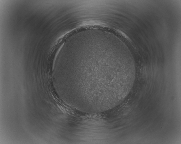 X0000067470775200604211606