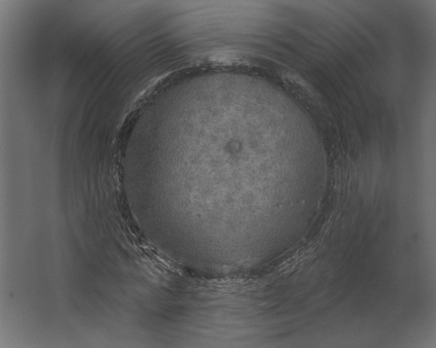 X0000067470776200604211606