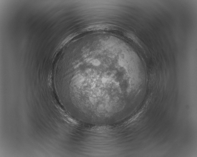 X0000067470778200604211606