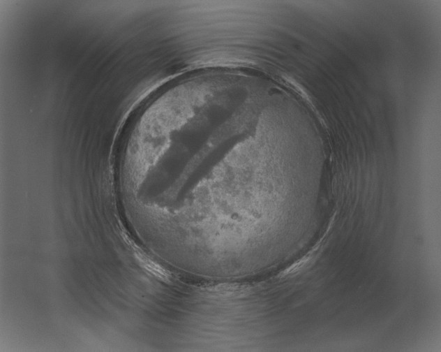 X0000067470779200604211606