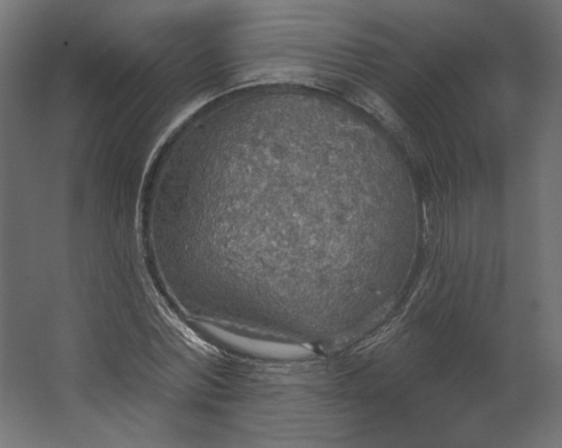 X0000067470780200604211606