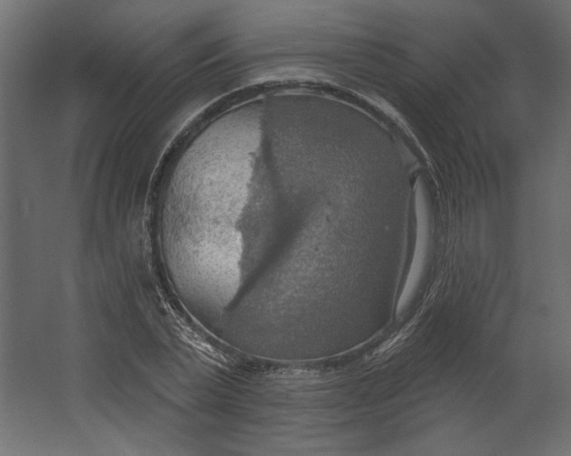 X0000067470783200604211606