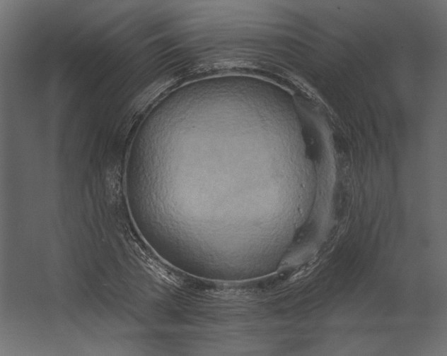 X0000067470785200604211606