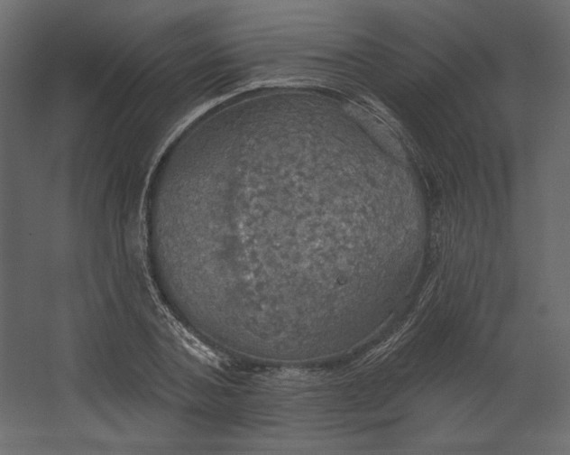 X0000067470787200604211606