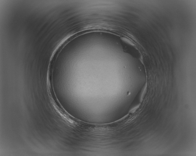 X0000067470788200604211606