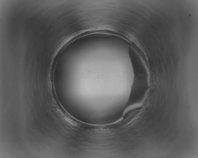 X0000067470789200604211606