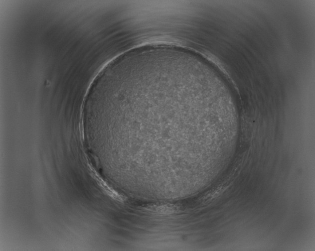 X0000067470791200604211606