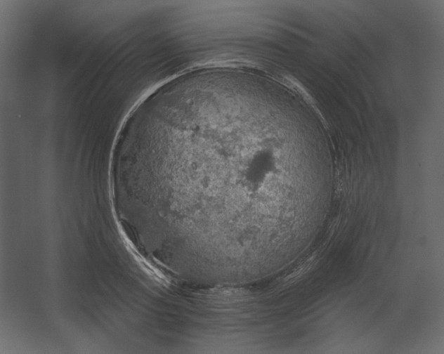 X0000067470795200604211605