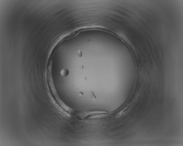 X0000067470797200604211605