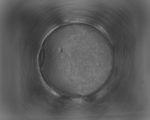 X0000067470798200604211605