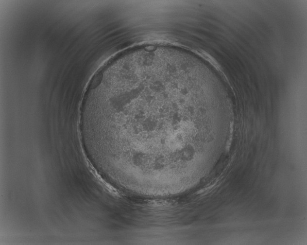 X0000067470799200604211605