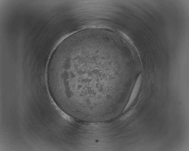 X0000067470803200604211605