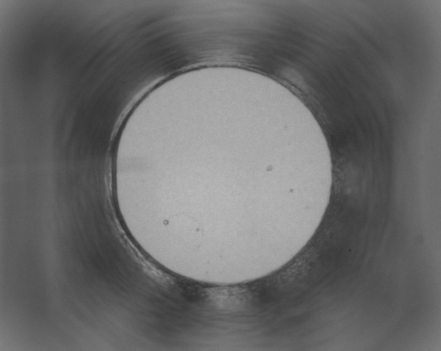 X0000067470804200604211605