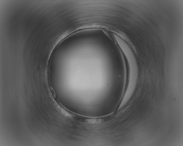 X0000067470805200604211605