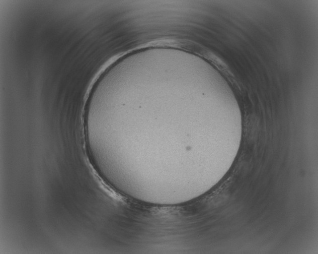 X0000067470808200604211605