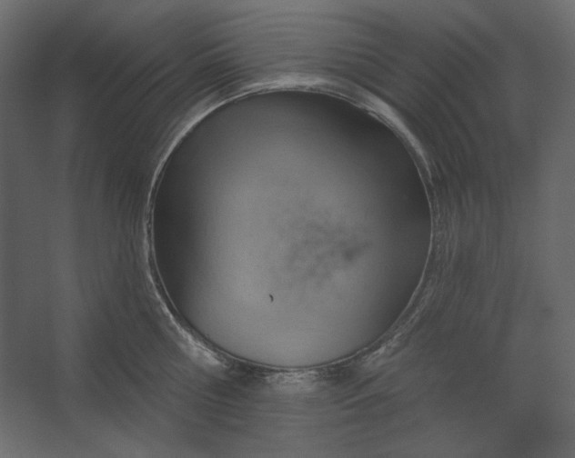 X0000067470810200604211605