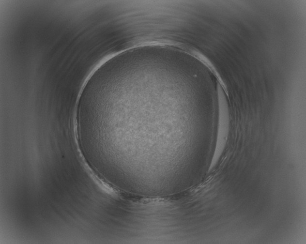 X0000067470811200604211605