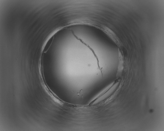 X0000067470812200604211605