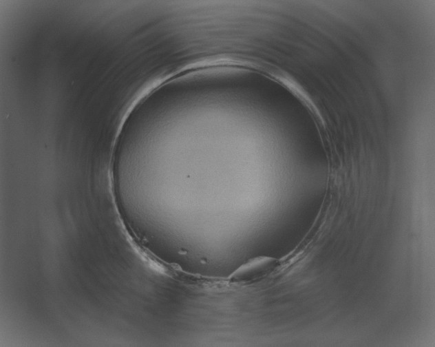 X0000067470813200604211605