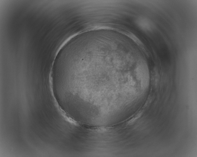 X0000067470814200604211605