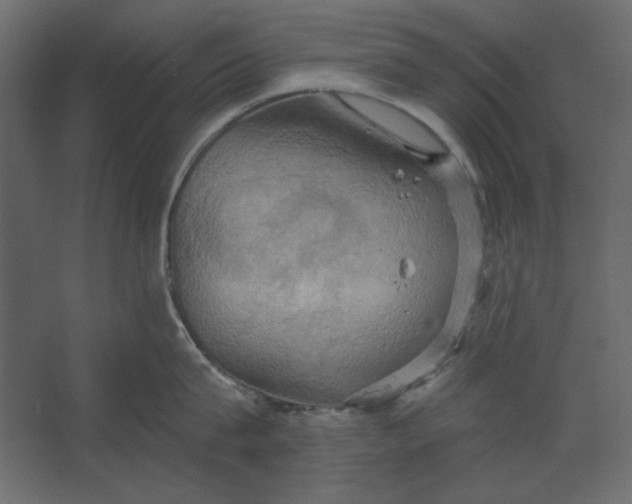 X0000067470815200604211605