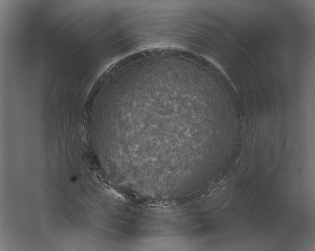 X0000067470823200604211604