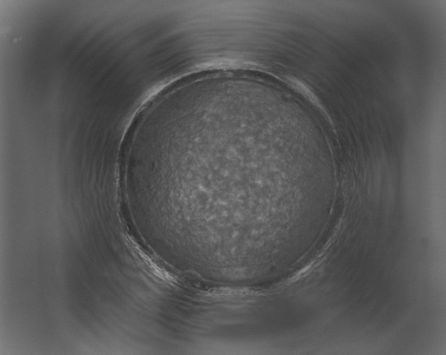 X0000067470831200604211605