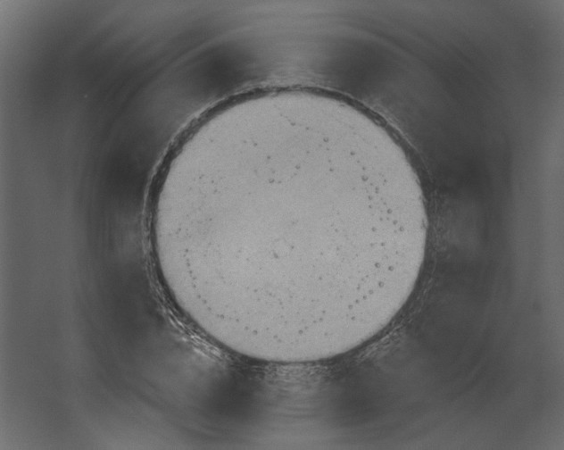 X0000067470832200604211605