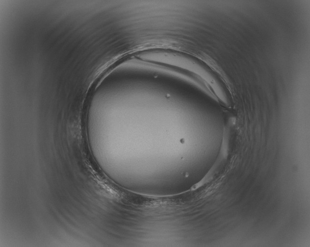 X0000067470834200604211605