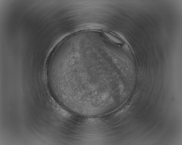 X0000067470835200604211605