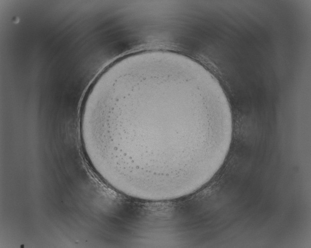 X0000067470836200604211605