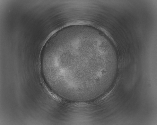 X0000067470837200604211605