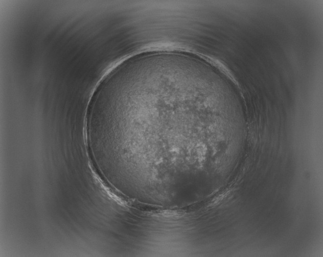 X0000067470839200604211605