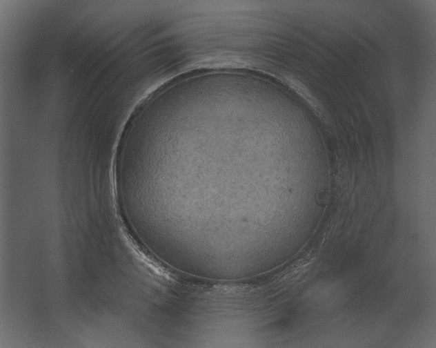 X0000067470840200604211605