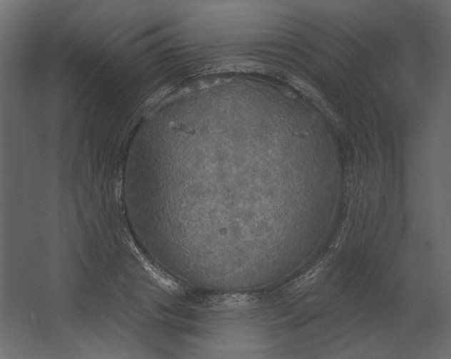 X0000067470841200604211605