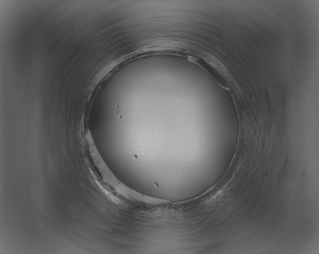 X0000067470842200604211605