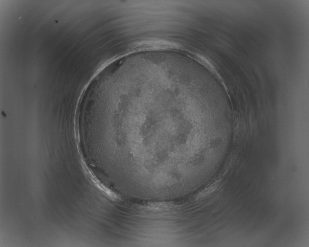 X0000067470843200604211605