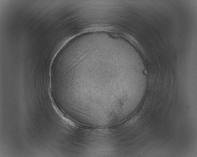 X0000067470844200604211605