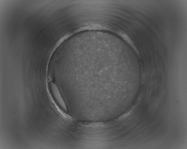 X0000067470845200604211605