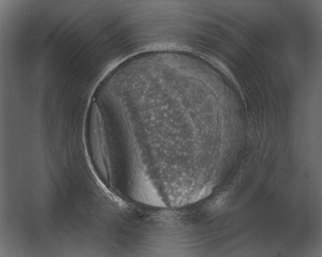 X0000067470847200604211605