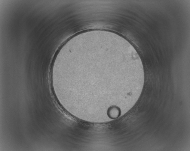 X0000067470848200604211605