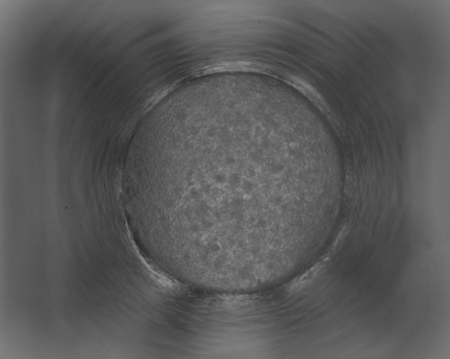 X0000067470849200604211605