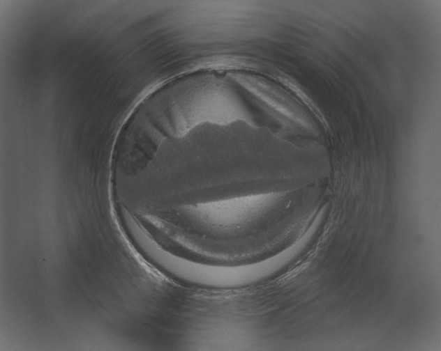 X0000067470853200604211605